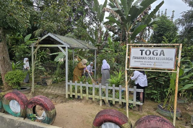 DWP UP SEKRETARIAT DPRD ASAHAN MELAKUKAN PERAWATAN RUTIN TANAMAN TOGA JANUARI 2025